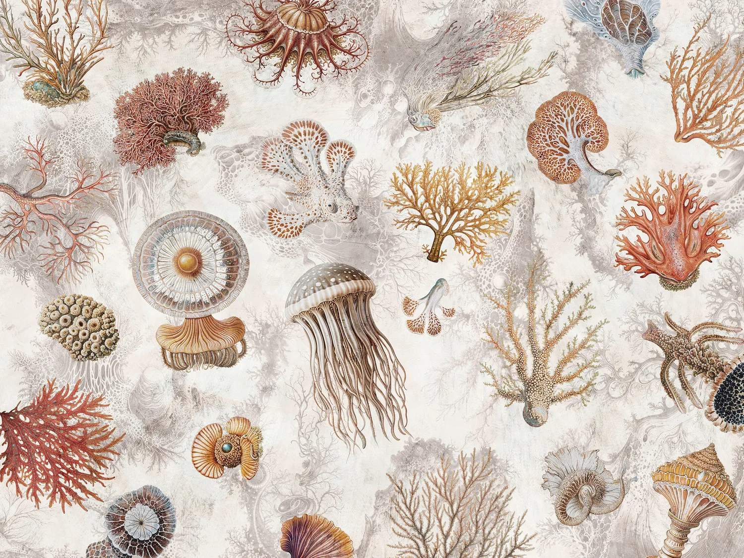 Oceana 1