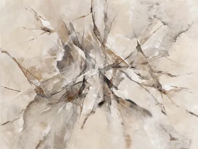 Sahara — wzór z bliska