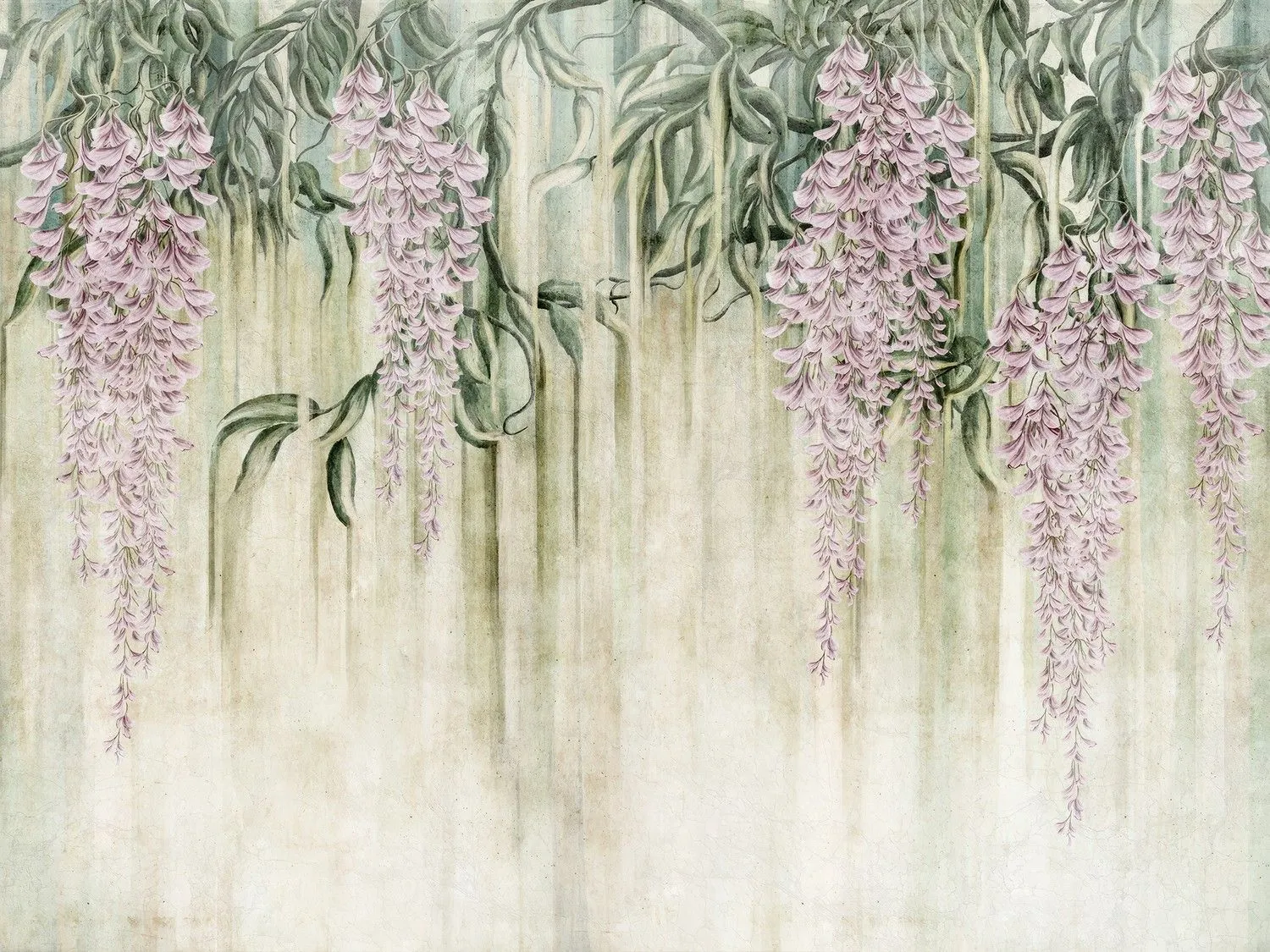 Wisteria 1