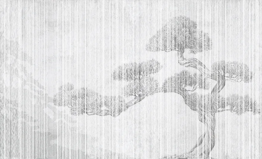 Bonsai 3