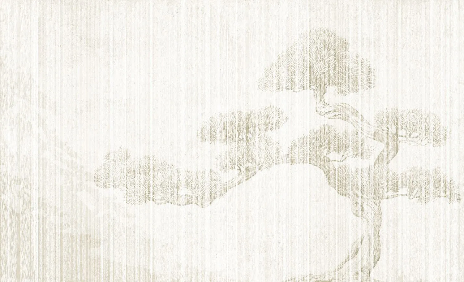 Bonsai 6