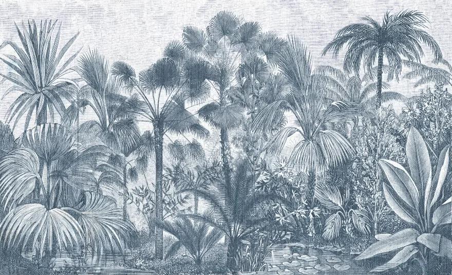 Borneo 3
