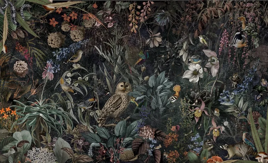 Botanica 2