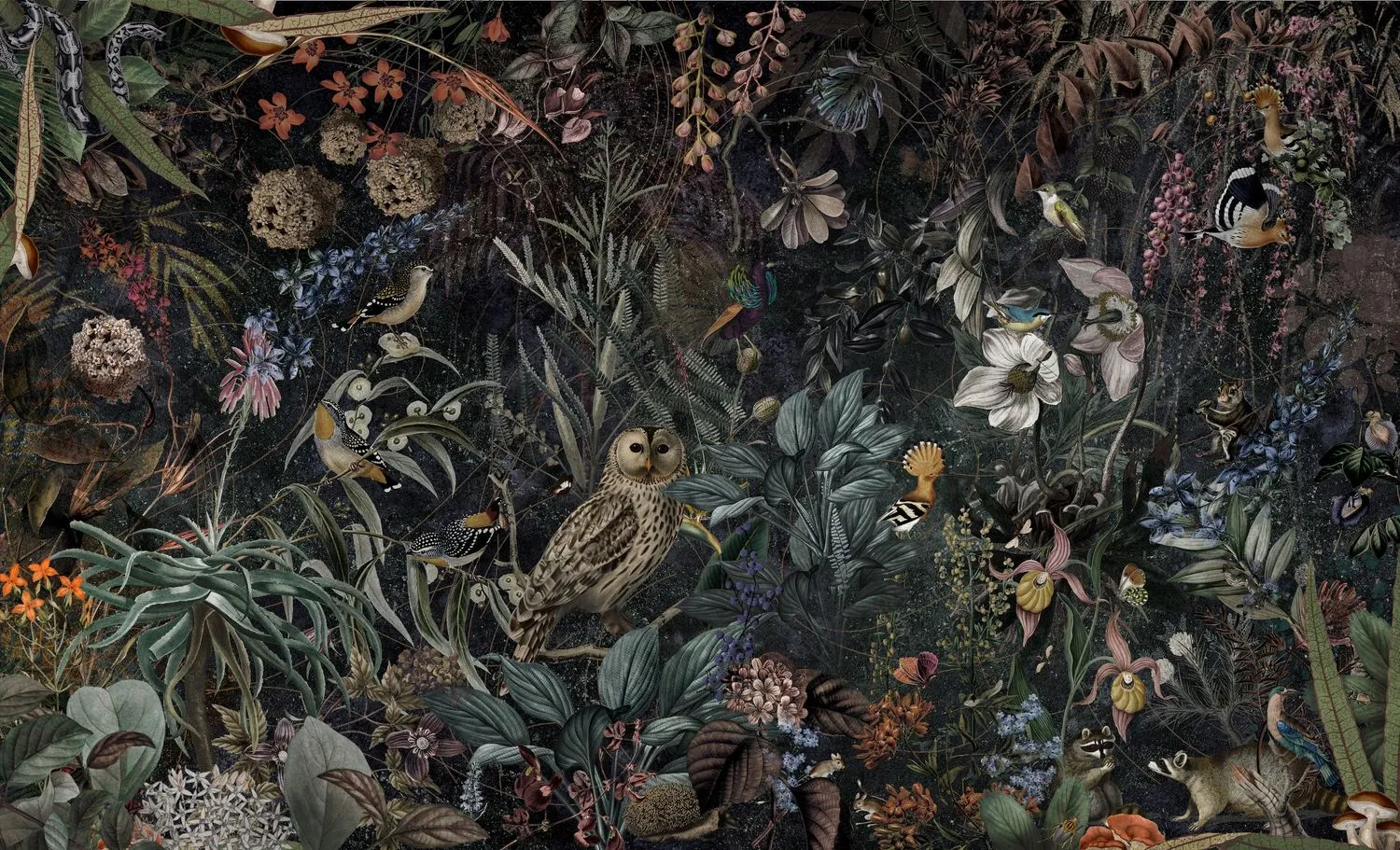 Botanica 5