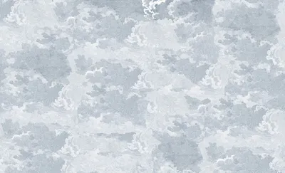 13C
