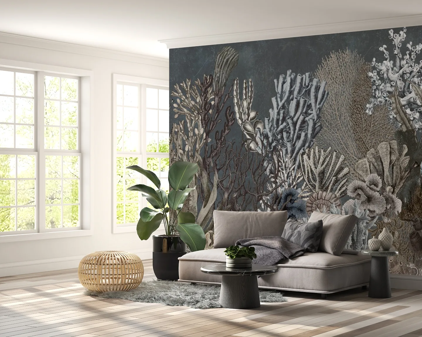 Coral 6