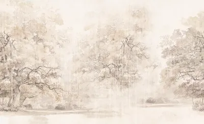 11A