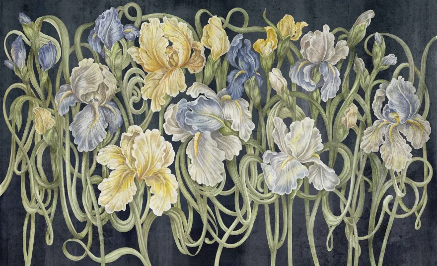 Iris 4