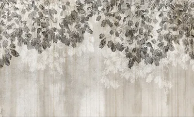 Mimosa — wzór z bliska