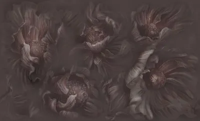 Mysteria — wzór z bliska