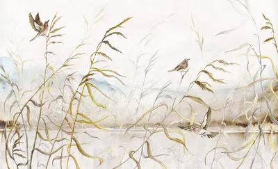 Pampa — wzór z bliska