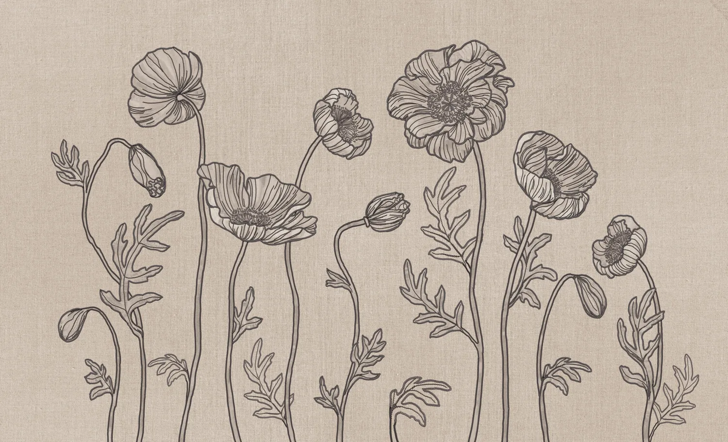 Poppy — wzór