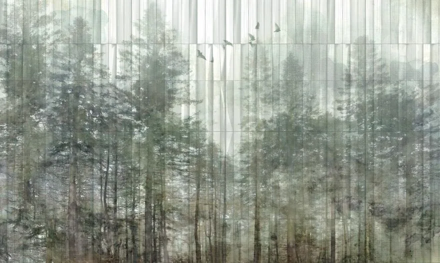 Taiga 3