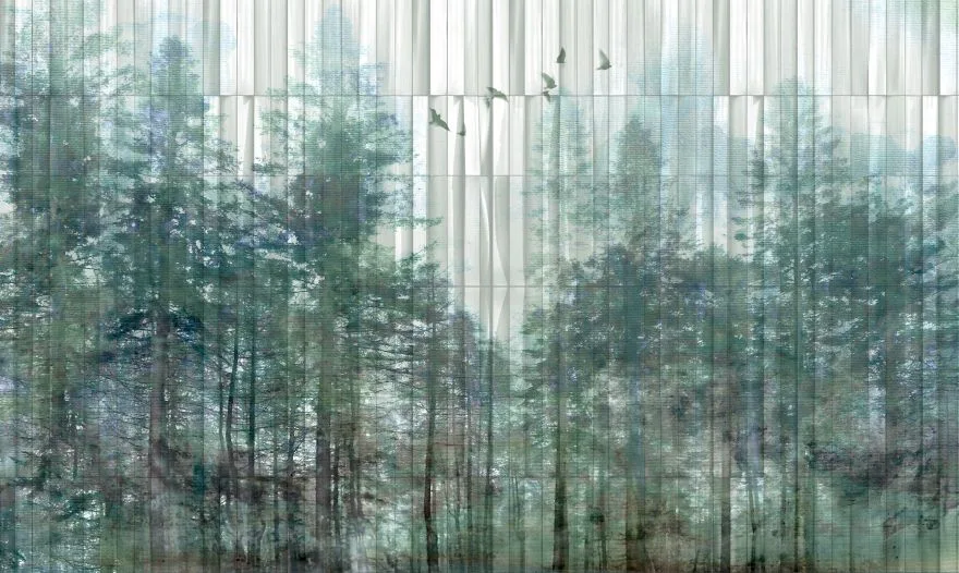 Taiga 4