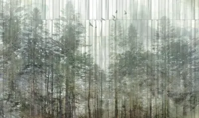 14B