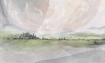 Toscana — wzór z bliska