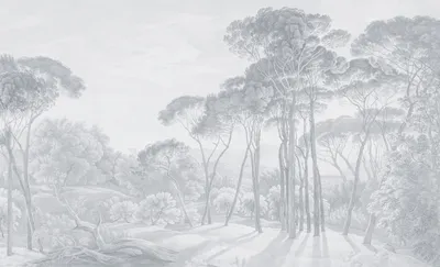 13B