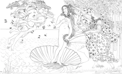 Venus — wzór z bliska