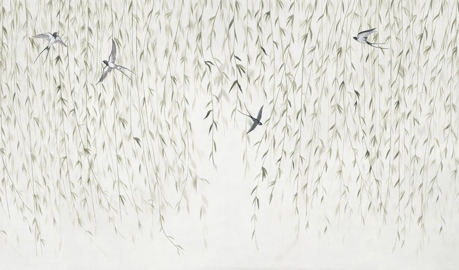 Willow 7