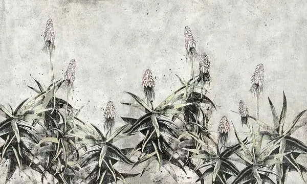 Agava — wzór z bliska