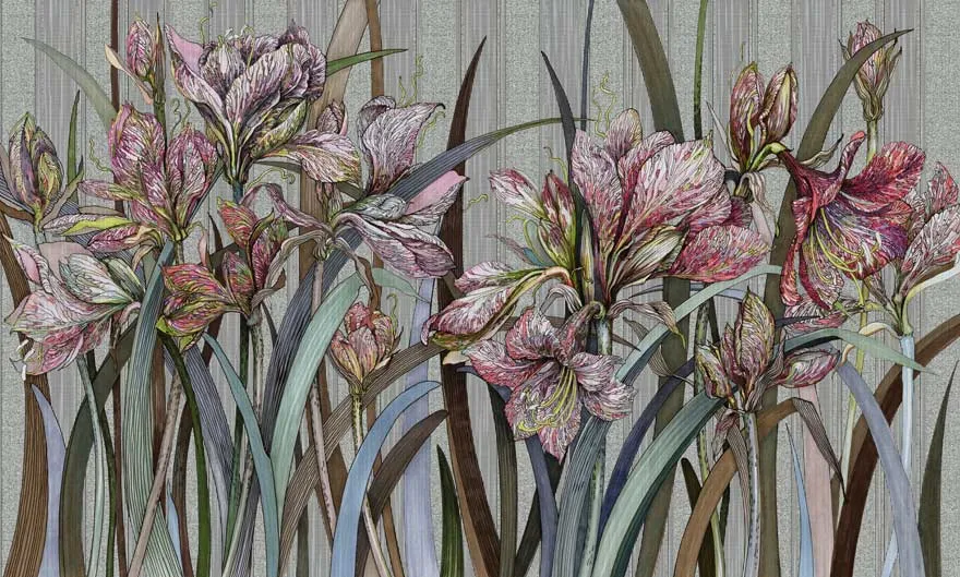 Amaryllis 3