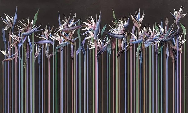 00