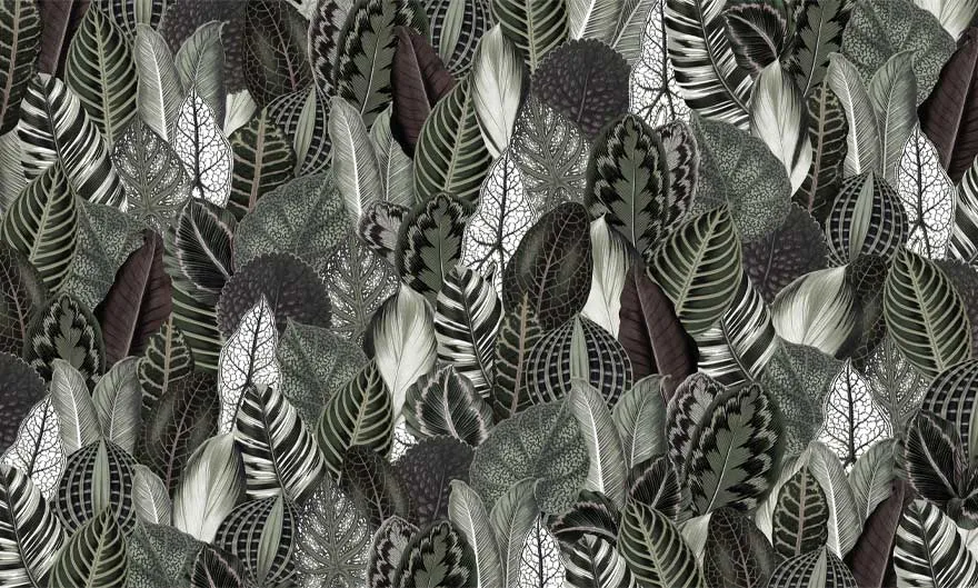 Botanica 3