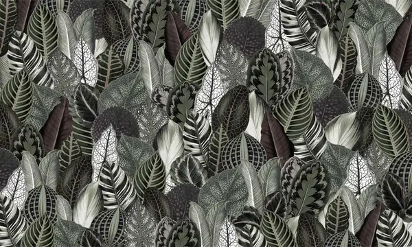 Botanica — wzór z bliska