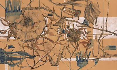 Campo — wzór z bliska