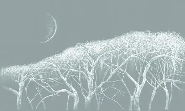 00