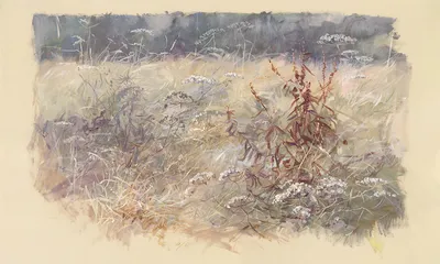 Eloise — wzór z bliska