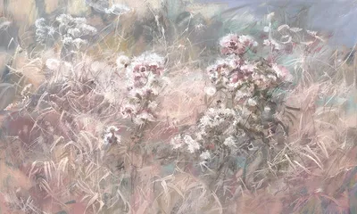 Encanto — wzór z bliska