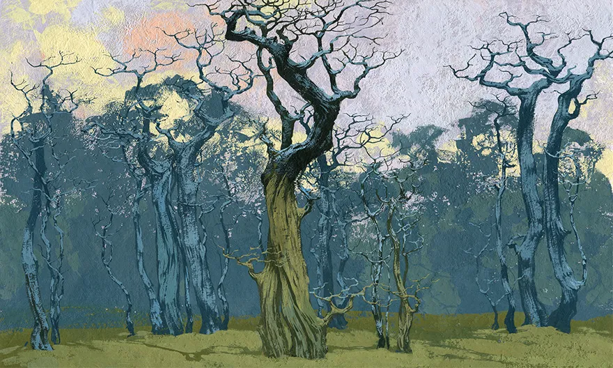Fangorn 3