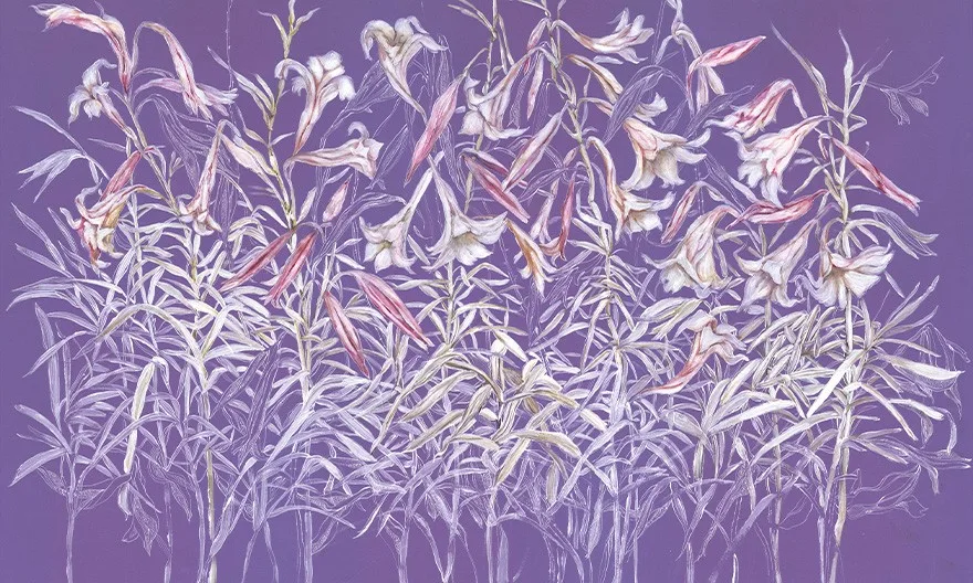 Flourish 3