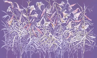 Flourish — wzór z bliska