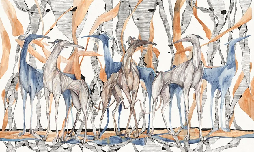 Galgo 3