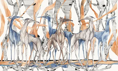 Galgo — wzór z bliska
