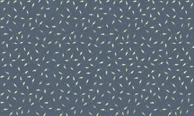 50