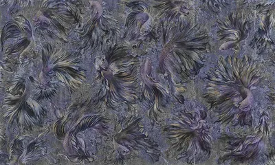 Kolor 07