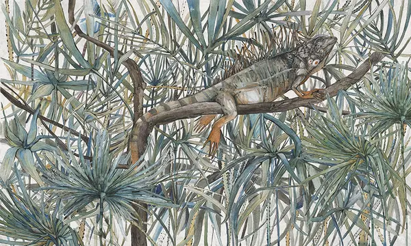 Komodo — wzór z bliska