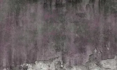 Kolor 15