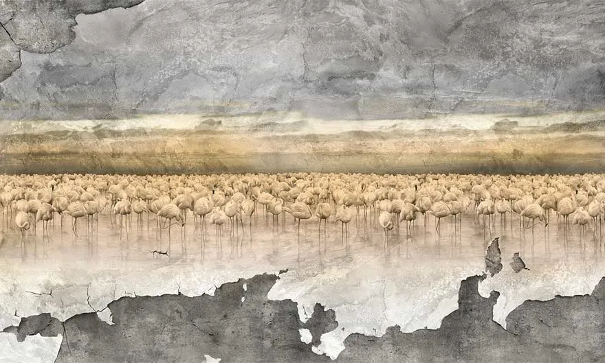 Laguna 3