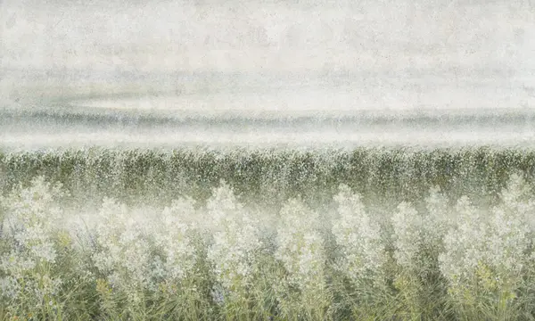 Linea — wzór z bliska