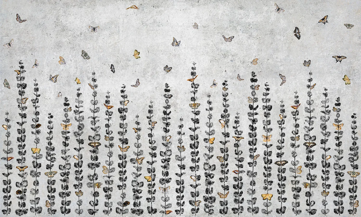 Miracle 3