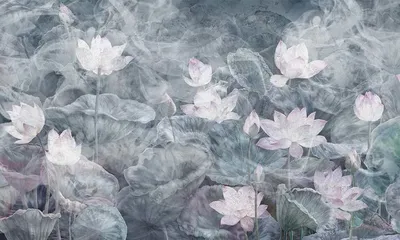 00