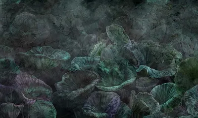 Kolor 11