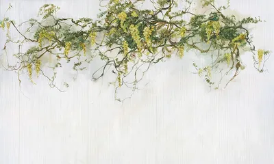 00