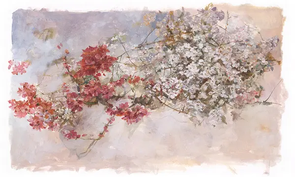 Pia — wzór z bliska