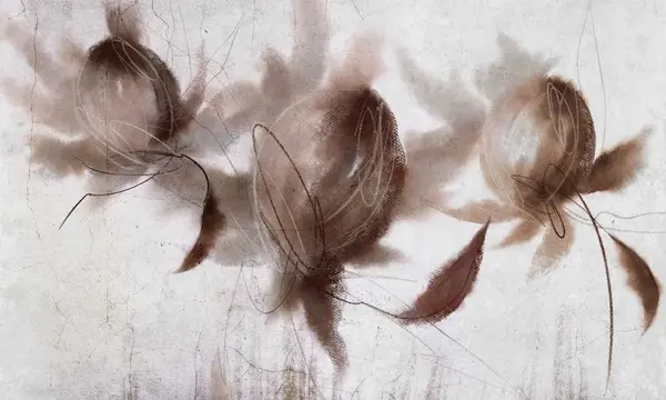 Protea — wzór z bliska