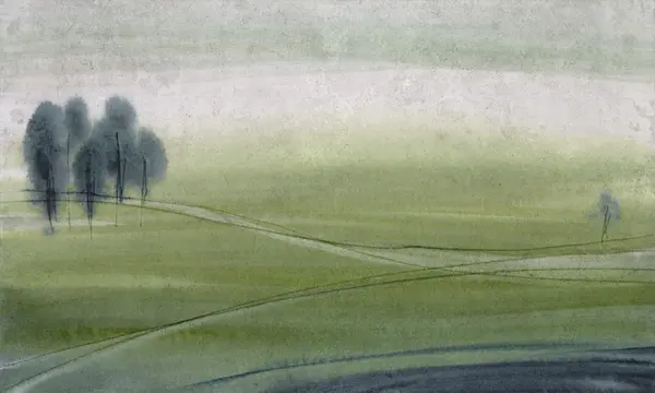 Robin — wzór z bliska